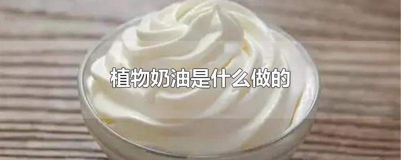 ֲʲô