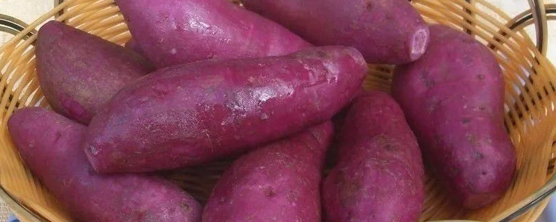 ͥ淽