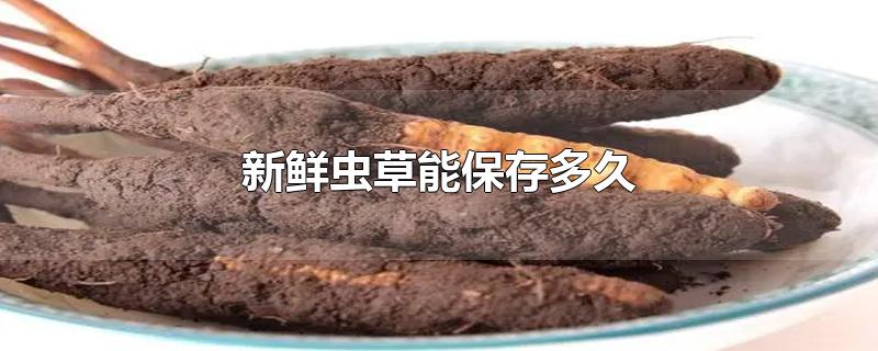 ʳܱ
