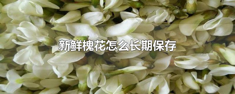 ʻôڱ