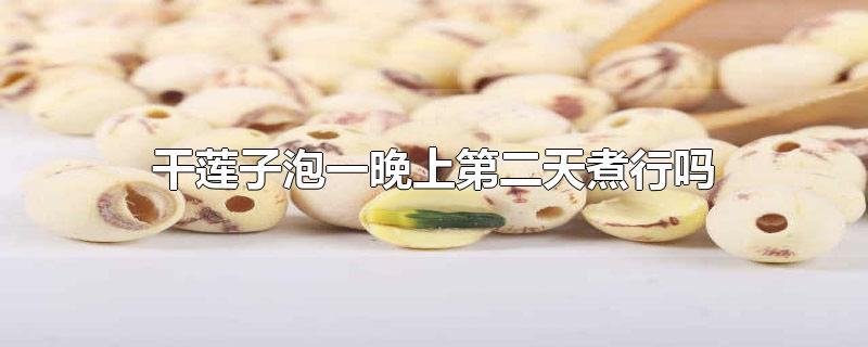 һϵڶ