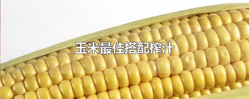 Ѵե֭
