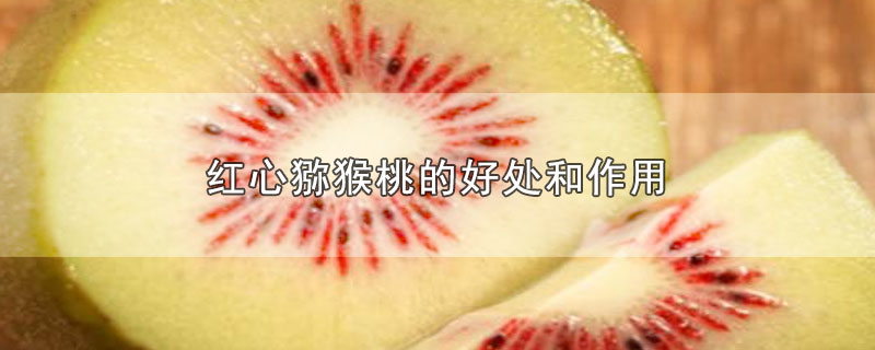 ⨺ҵĺô