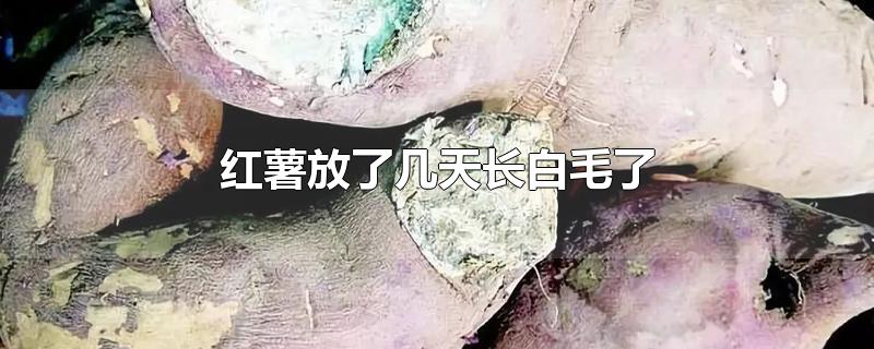 ˼쳤ë