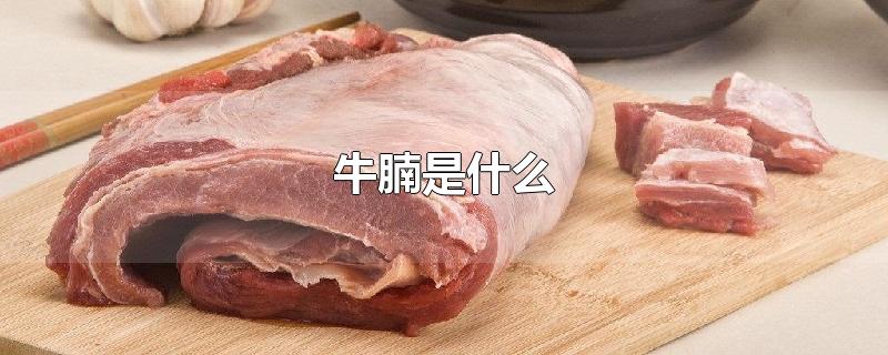 ţʲô