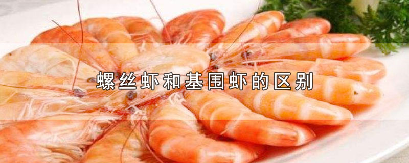 ˿ϺͻΧϺ