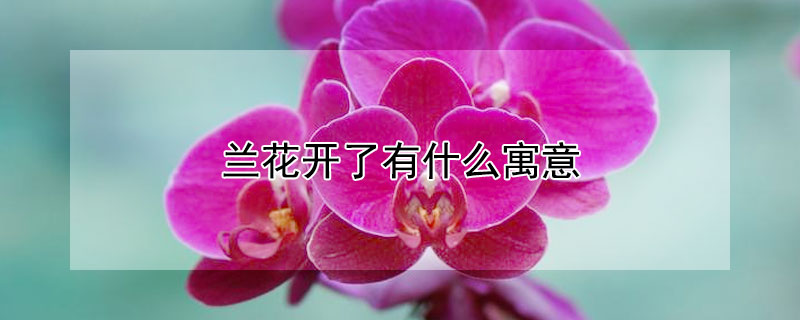 ʲôԢ⣨˵ĺ壩