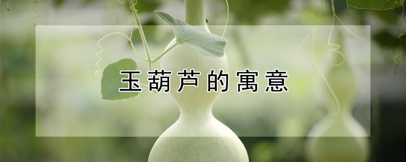 «Ԣ⣨«ʲô壩