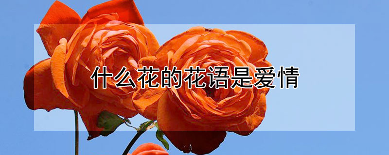 ʲôĻǰ飨ЩĻǰ飩