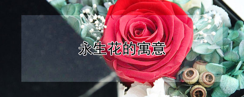 Ԣ⣨ʲô