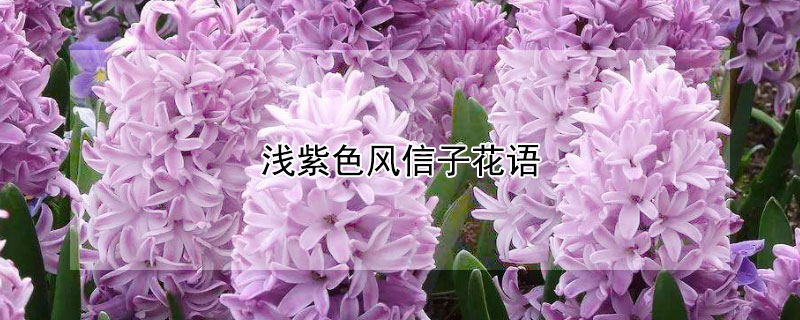 ǳɫӻɫӵԢ⣩