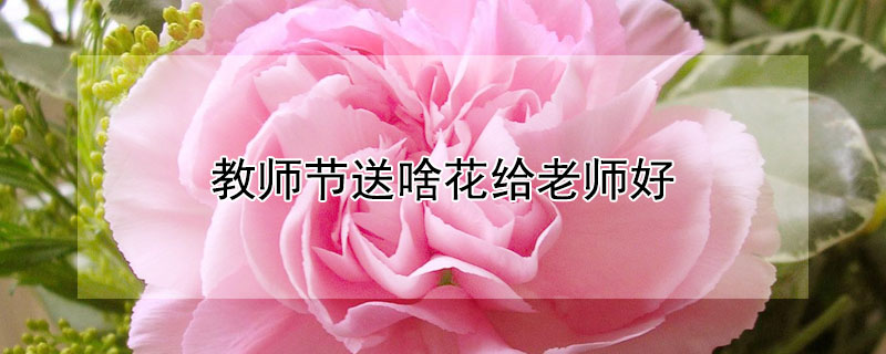 ʦɶʦãʦʦʲô