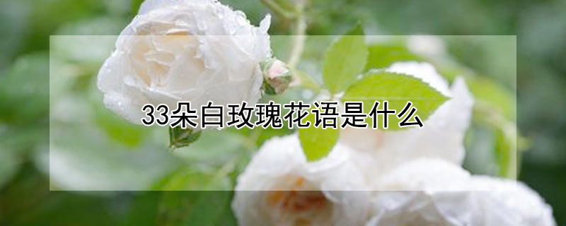 33õ廨ʲô壿33õʲôԢ⣿