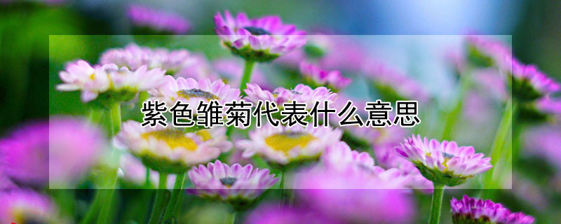 ɫմʲô˼ɫʲôԢ⣩