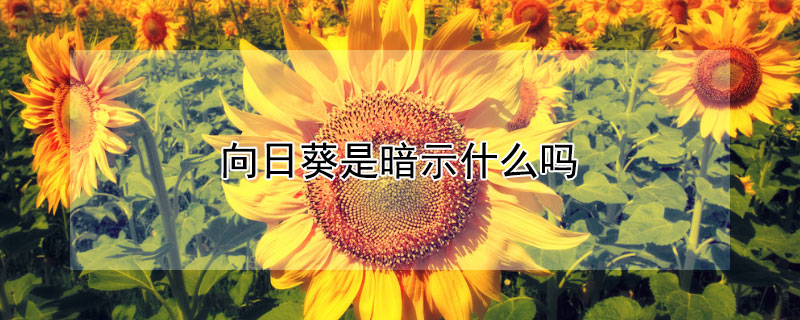 տǰʾʲôտԢ