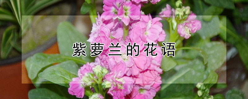ĻʲôʲôԢ⣿