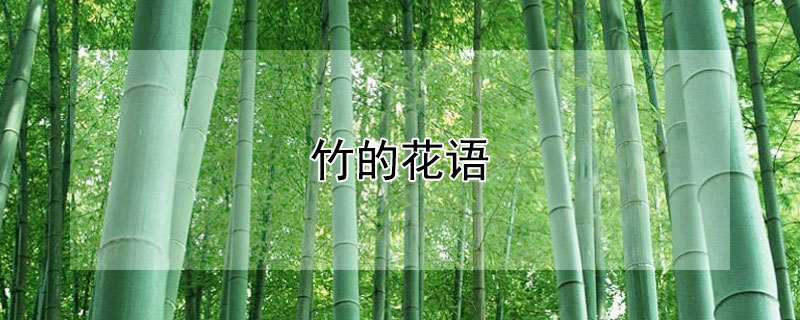 ĻԢʲô