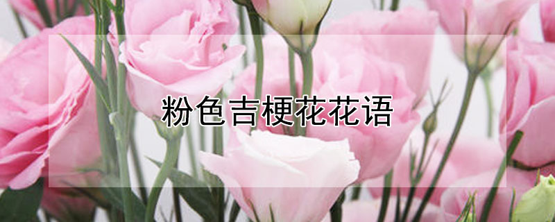 ɫĻɫԢ