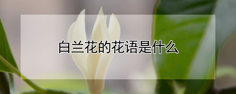 ĻʲôʲôԢ⣩