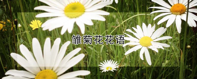 ջĻջʲôԢ⣩