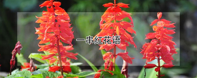 һĻһʲôԢ⣿