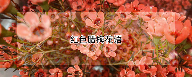 ɫ÷ʲô壿
