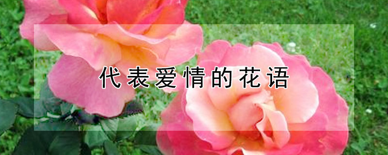 ĻЩĻǰ飩