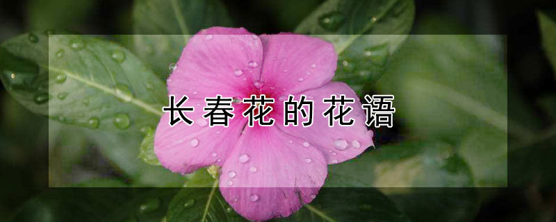 ĻʲôԢ⣩