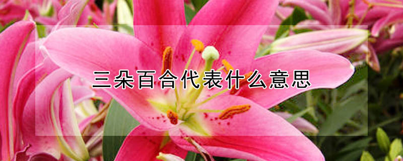 ٺϴʲô˼ٺϵԢ⣩