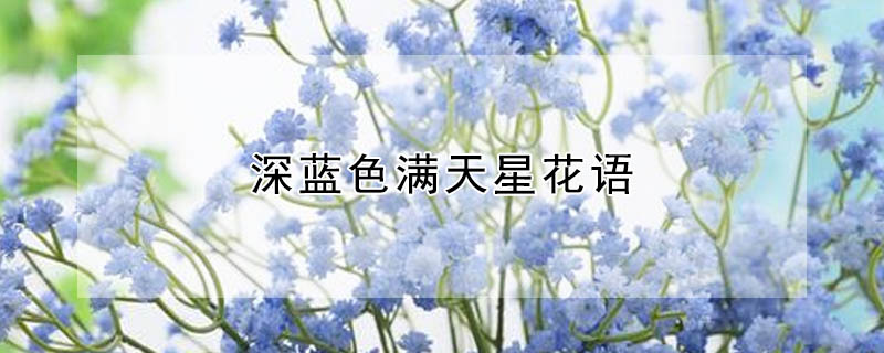 ɫǻɫʲôԢ⣩