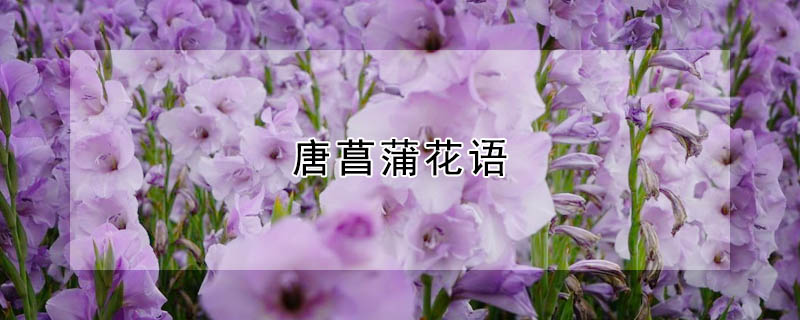ѵĻʲôԢ⣿