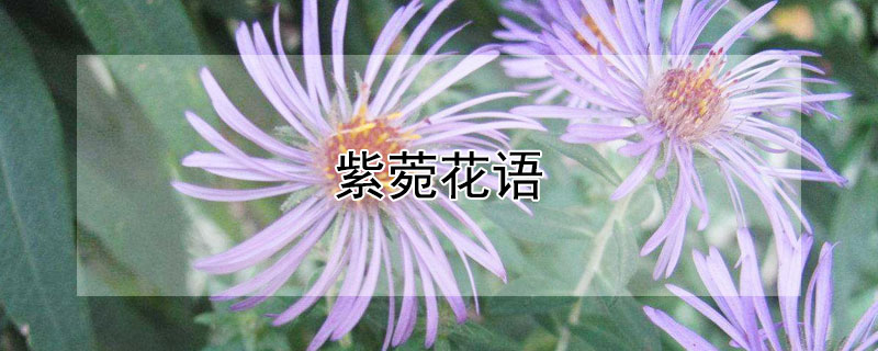 ҵĻʲôԢ⣿