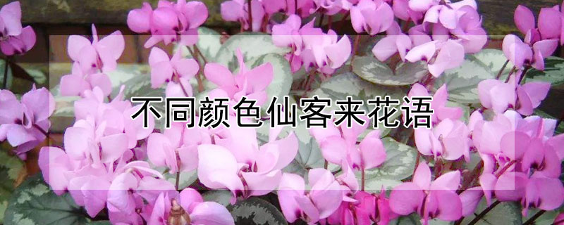 ͬɫɿ