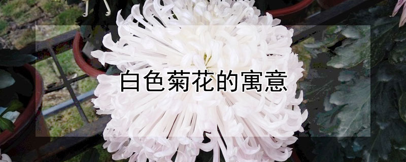 ɫջԢʲô˼ɫջĻ
