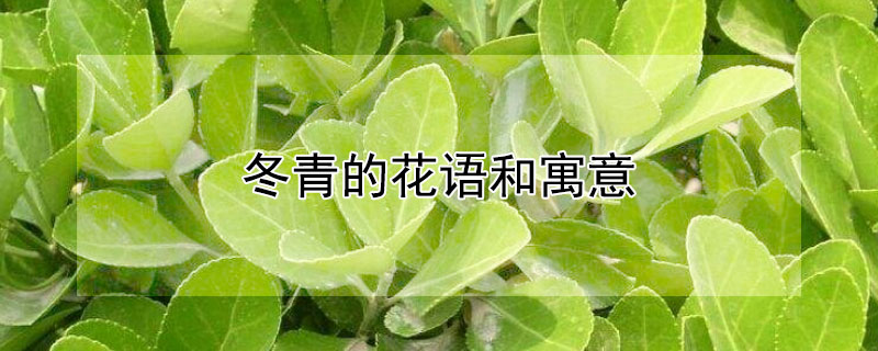 ĻԢ⣨Щ壩