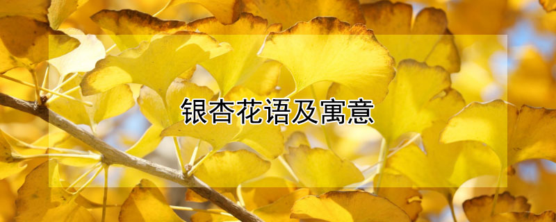 ӻＰԢ⣨Щ壩