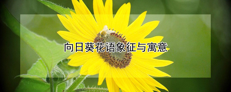 տԢʲô