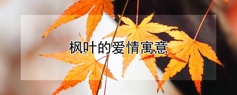 ҶʲôԢ⣿