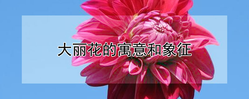 Ԣʲôʺ͸ʲôˣ