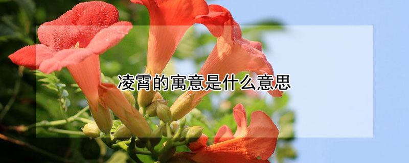 Ԣʲô˼Щ
