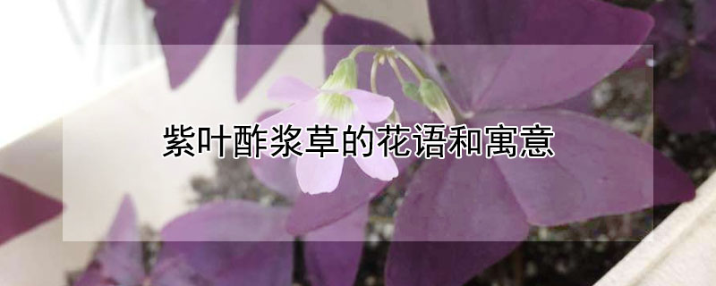 ҶݵĻԢ⣨Ҷʲô壩