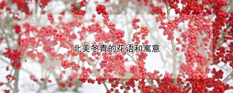 ĻԢʲô