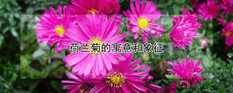 յԢʲôʺ͸ʲôˣ