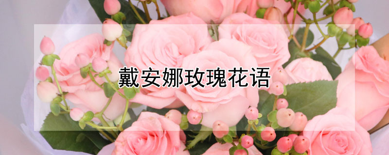 õ廨ʲô˼õЩԢ⣿