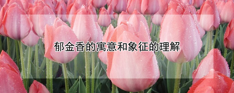 Ԣʲô͸ʲôˣ