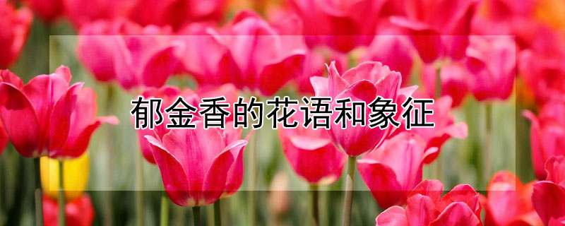 Ļʲô