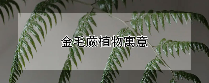 ëާֲʲôԢ⣿