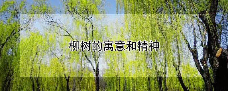 Ԣ;ʲôЩ壿