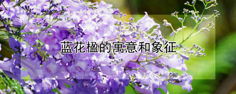 ʲôԢ