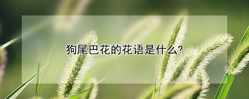 βͻĻʲôβͻʲôԢ⣿